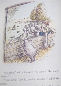 images from Charlotte's Web 003