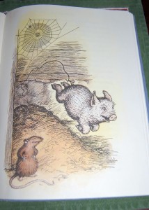 images from Charlotte's Web 010