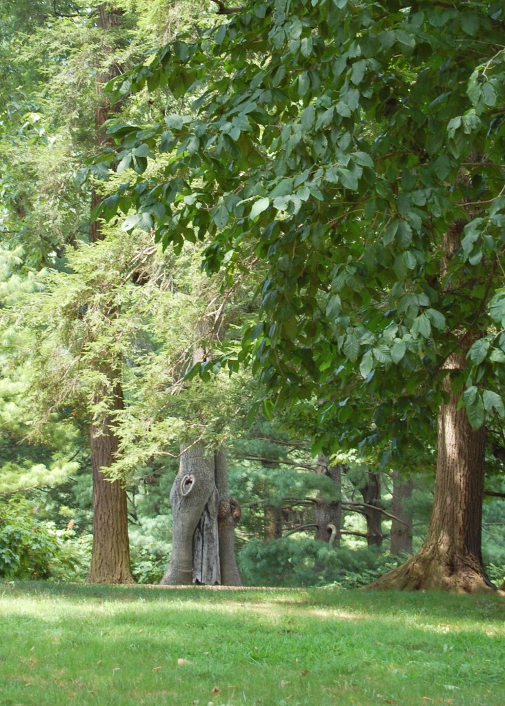 Things of Beauty: Embracing Trees, Leaves, and English Romantic Poet John Keats